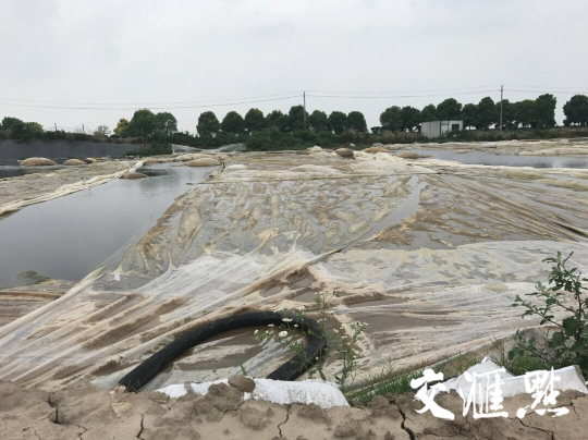 环境部通报批评泰州泰兴江边污染两年未整改