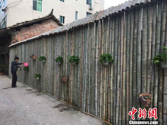 村民給牆上的綠植澆水 趙巧巧 攝