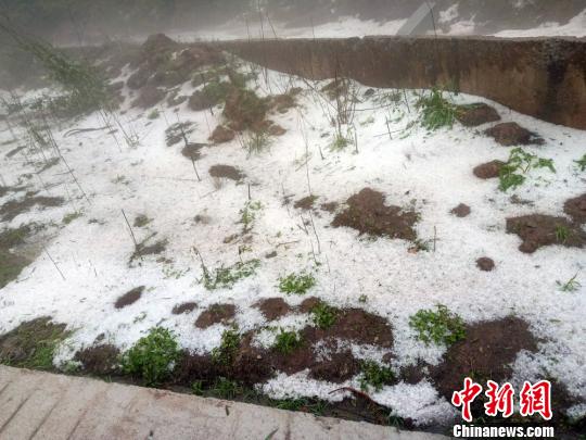 地上堆积的冰雹。 苏忠国 摄 四川叙永多地出现冰雹天气