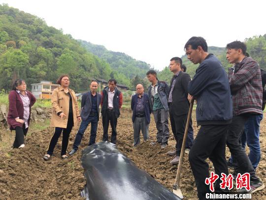 思南人口_铜仁日报 2019 02 28 思南视界(3)