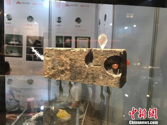 图为展馆现场。 杨碧悠 摄