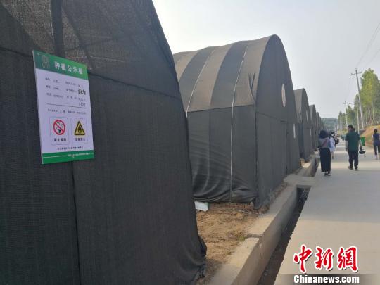 每个大棚上都标明了助力脱贫人、贫困户以及技术指导员等。 范丽芳 摄