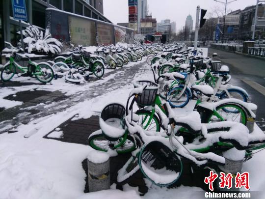 被雪覆盖的共享单车