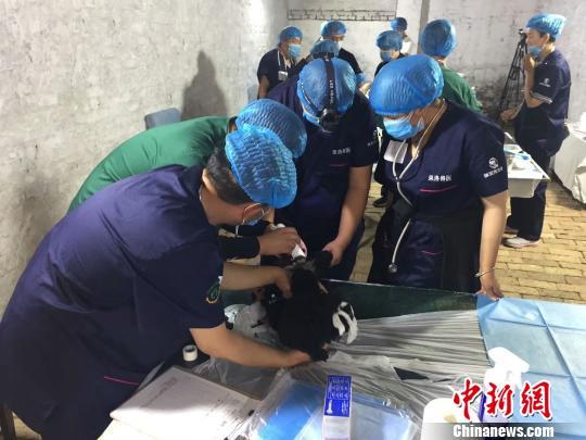 水晶城国际·叙利亚已无收复希望,美国政府准备承认,戈兰高地是以色列领土