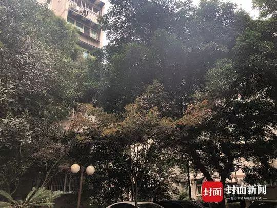 盈丰官网投注 - 二一九山西省职业技能提升行动服务周活动启动