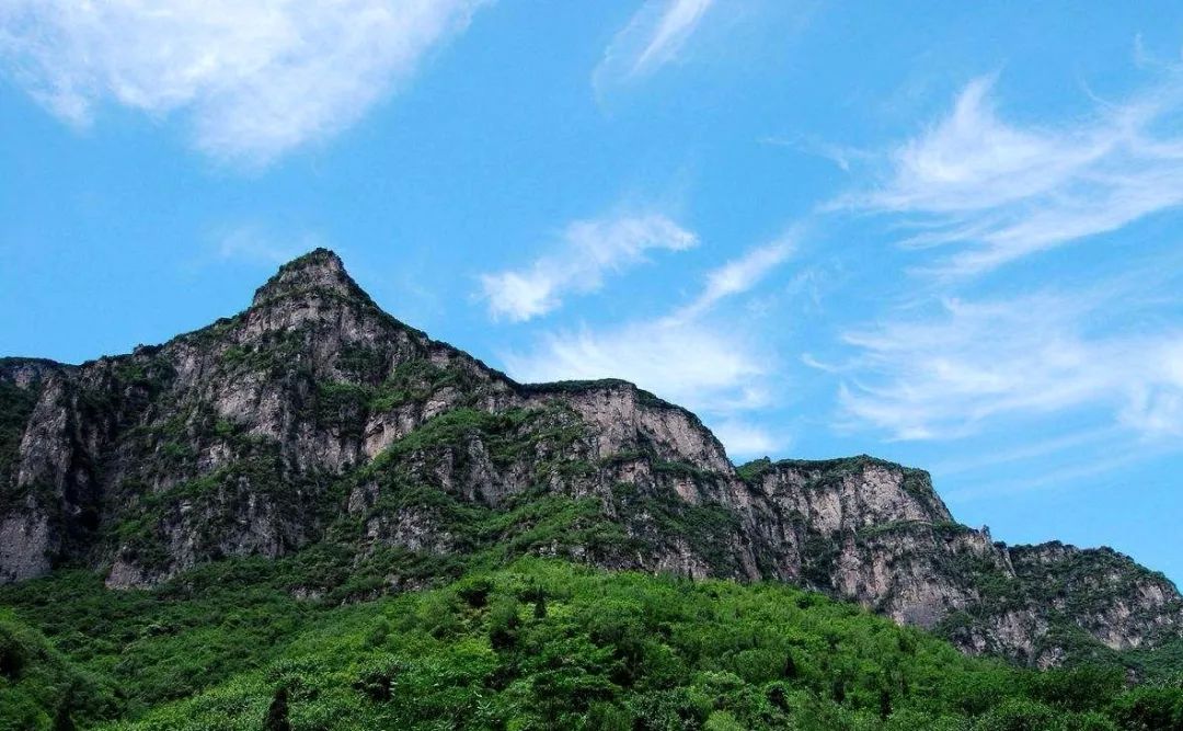 神农白鹤松，九州一奇观--秀丽的神农山
