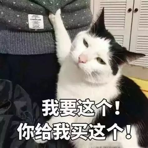 为什么大学里女生看起来比男生有钱？