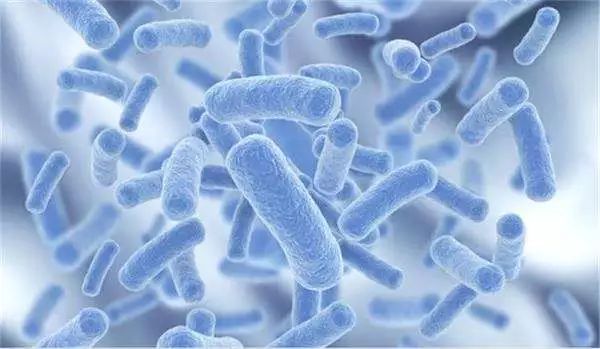 11款益生菌对比：妈咪爱、如新、童年时光等无抑菌功效，调节肠道菌群成疑