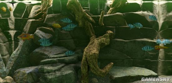 鱼缸模拟器《Biotope》上架Steam 画面逼真、3月29日发售