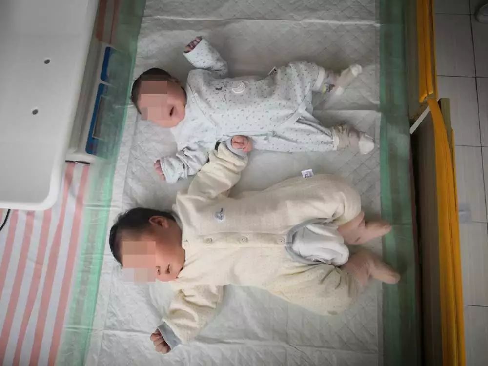 与普通婴儿相比,壮壮(下)明显大出一截。