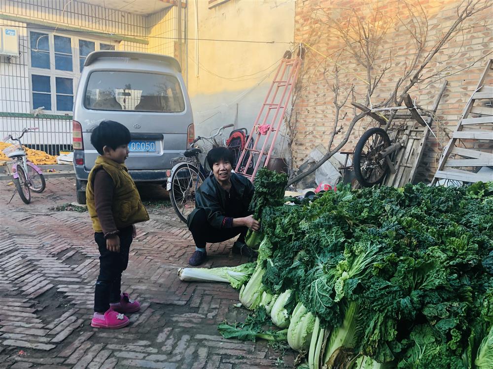直播间的婚姻操盘手:河北农村大妈和她的相亲男