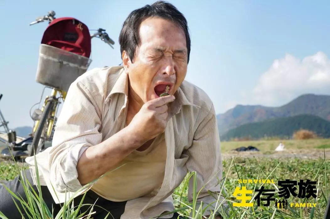 可以吃貓糧。