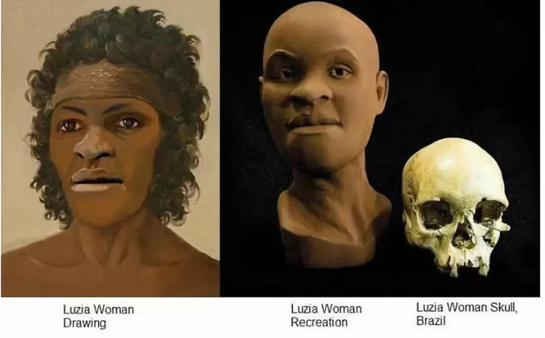 ▲人类化石“Luzia”