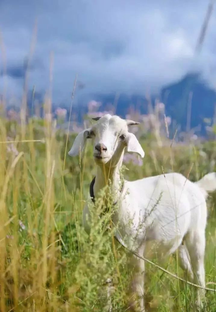 怎么拍才能让女朋友的照片在朋友圈点赞10W