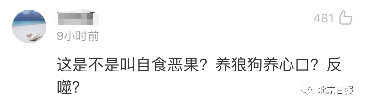 老虎机注册送开户金|福建省出台职业技能提升行动实施方案