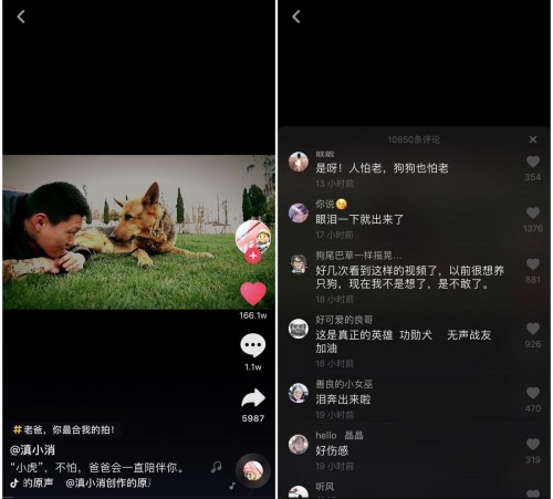 云南消防总队抖音记录汶川英雄犬,百万网友点