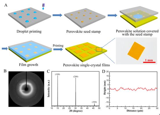 化学所在印刷制备钙钛矿单晶薄膜方面取得进展