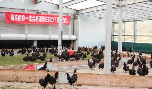 银河优越会投注网站·味库鲜品年夜饭全面开始预订啦!——新鲜食材 名厨出品