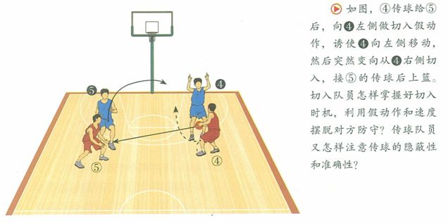 【历年试讲5】体育《篮球基础战术配合》