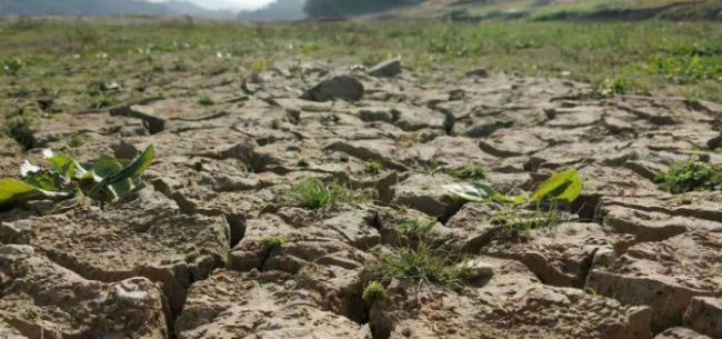 安徽遭数十年不遇大旱 如何实现逢旱不成灾