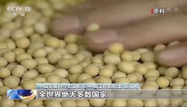 农业农村部公布2019年农业转基因生物安全证书清