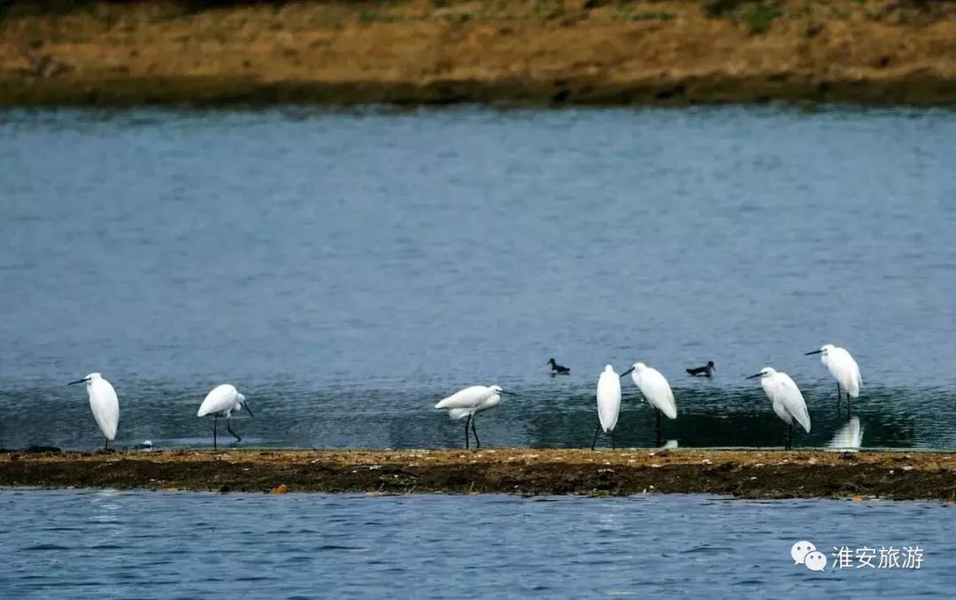 静享最美淮安 邂逅湖畔水韵