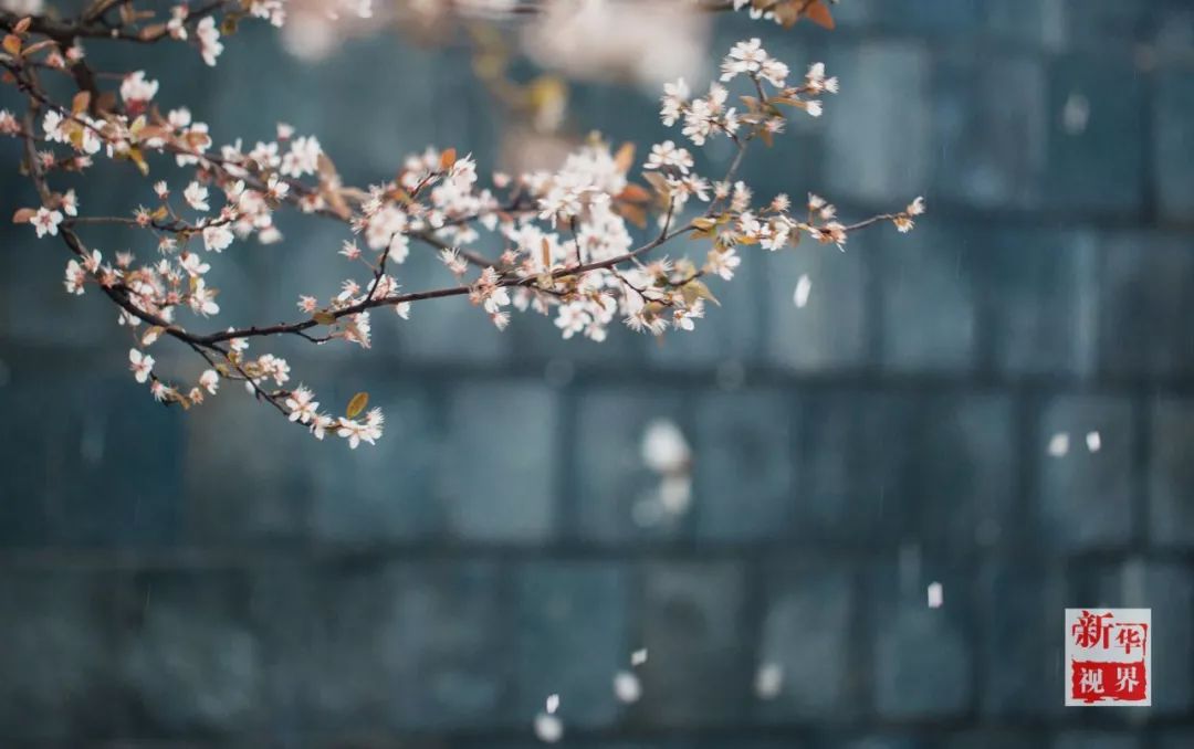 荐读 | 一家人,什么最重要?(句句在理)