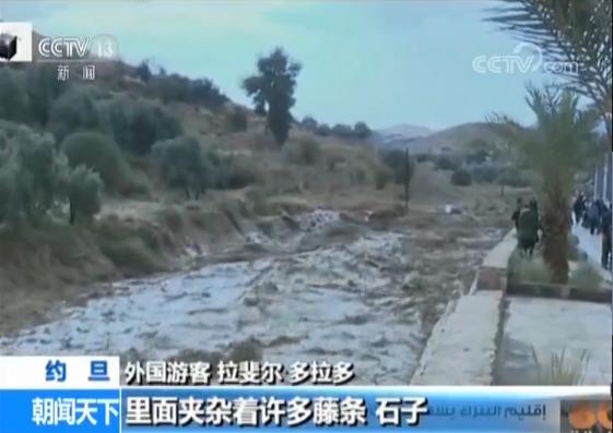 约旦人口构成_约旦地图