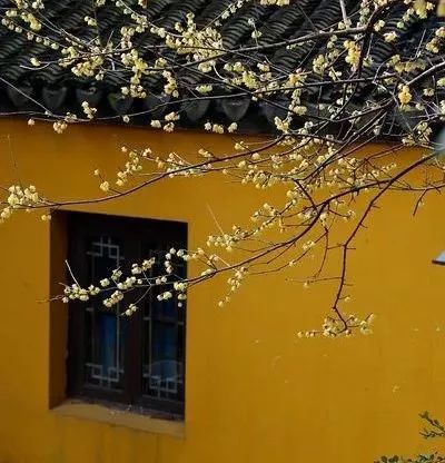 我们注定是孝顺父母的最后一代，被儿女抛弃的第一代