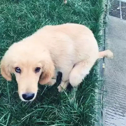 中山征求意见,拟对这些不文明行为开罚!最高罚