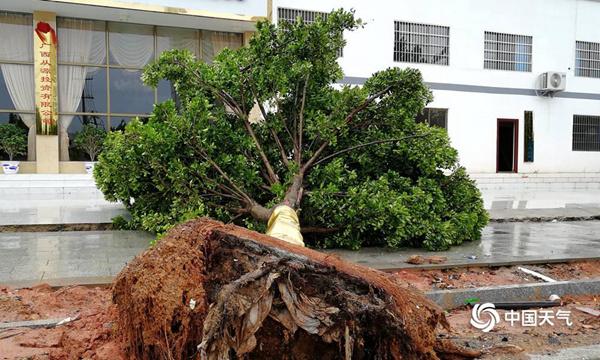 山竹风雨北抵江苏南至海南 对我国影响19日