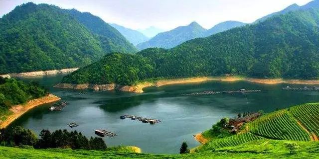 乡村振兴怎么搞?看看湖南经视这篇电视调研报告