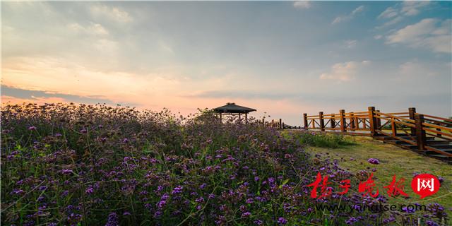 苏州北太湖(望亭)旅游风景区获评四星级乡村旅游区