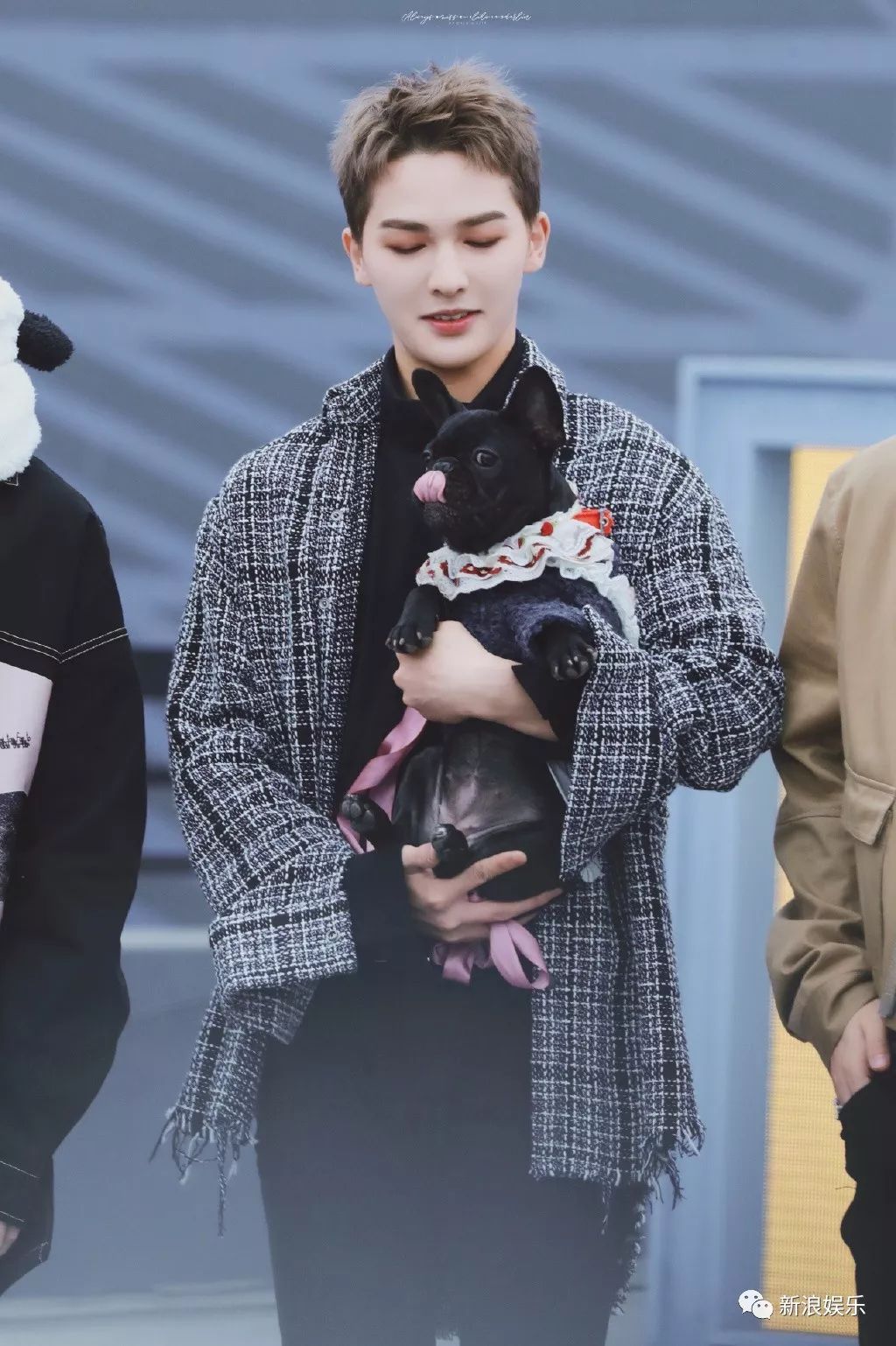 图说 | 小海绵太萌了吧！王思聪这话真够扎心的！