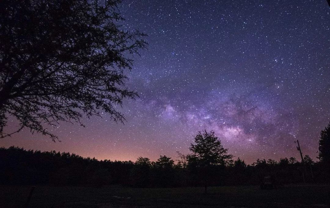 契诃夫 | 套中人