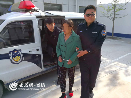 流动人口在逃_人口流动(2)