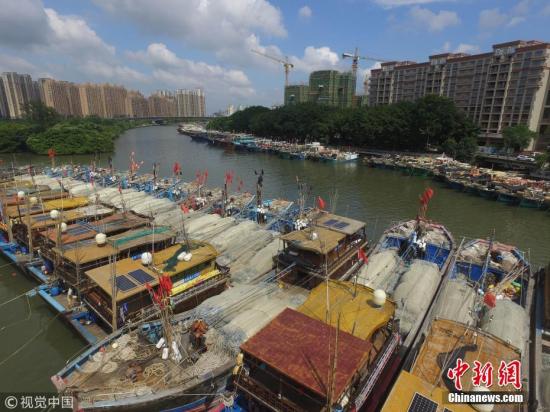 资料图：中山市石岐河张溪段，大量渔船回港避风。 图片来源：视觉中国