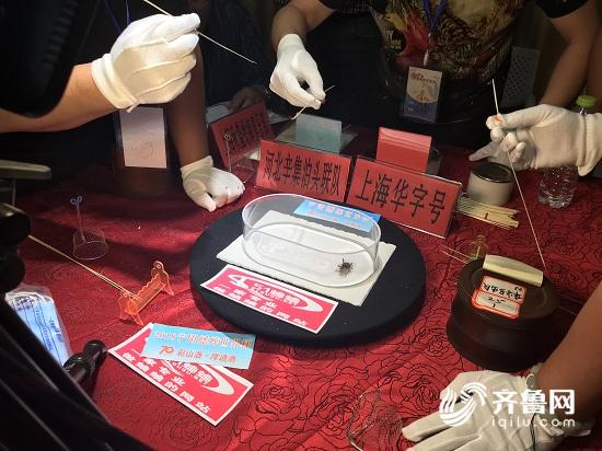 2018宁阳蟋蟀世界杯总冠军产生 奖金50万元