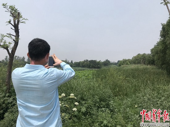 6月19日，44岁的贾相军站在当年案发的鱼塘边。如今鱼塘已经成了一个风景区的组成部分。中国青年报·中青在线记者 程盟超/摄