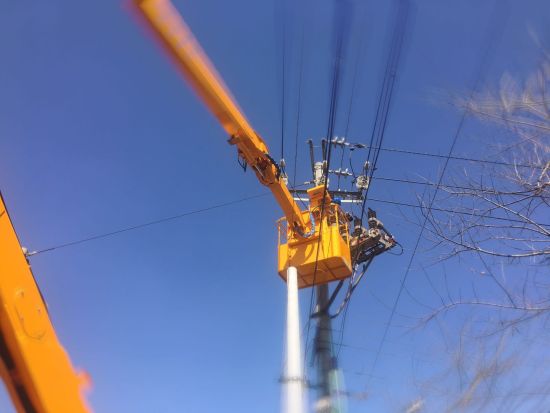 喜鹊致10千伏线路短路停电 陆良供电局昼夜奋战消缺保电