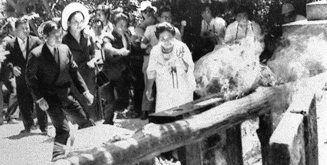 e起发娱乐场真人娱乐-女子买条鱼准备烧了吃 养几天后女儿和鱼成好朋友