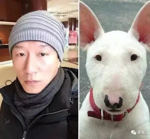 快手又出现一波明星脸 而明星中却出现一波动