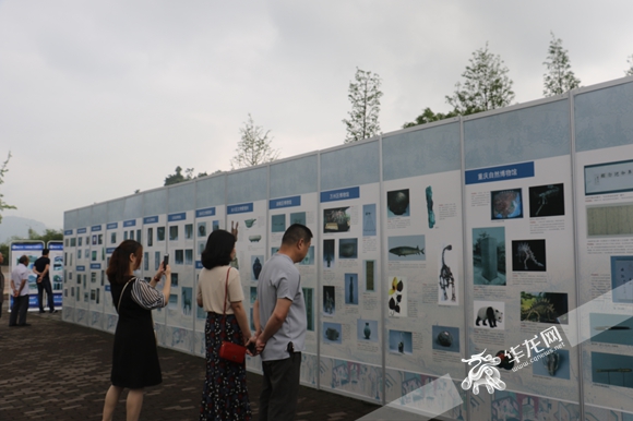 重庆文化遗产宣传月启动三峡移民纪念馆亮相山城