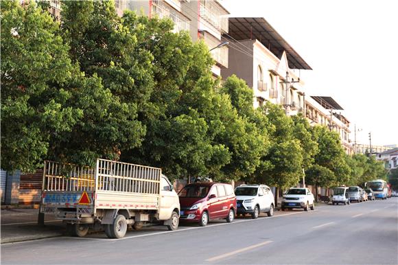 双凤镇人口_人口普查(2)