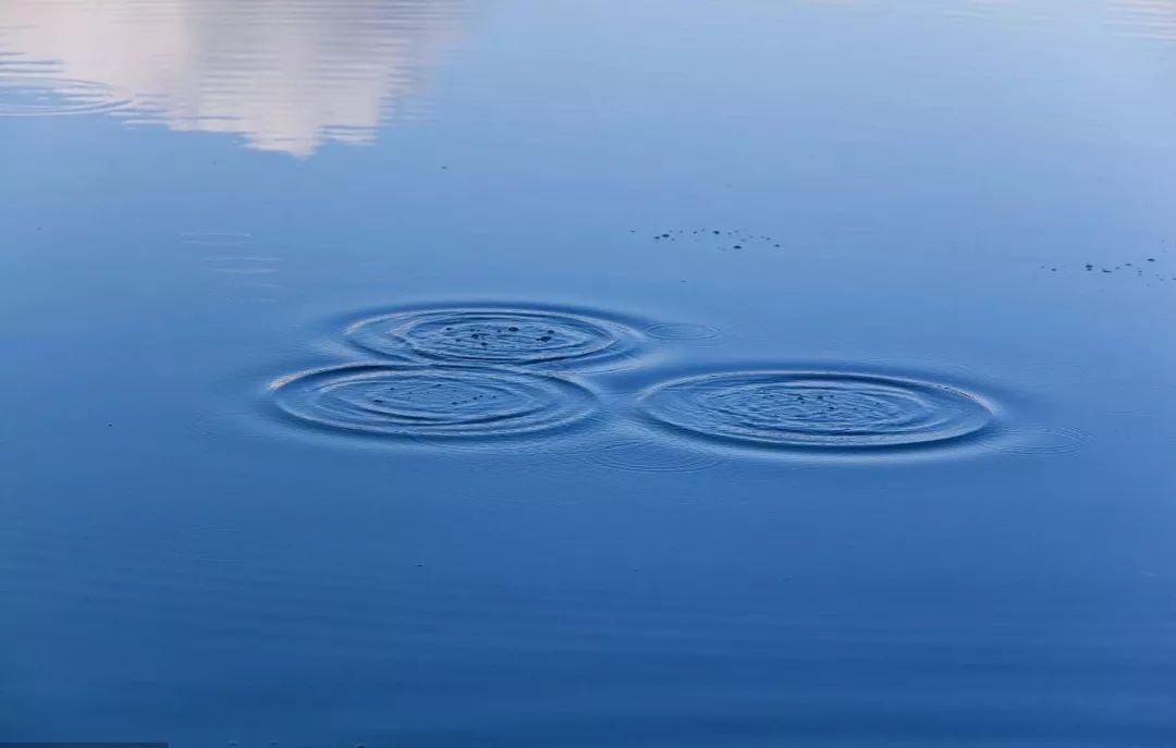 朗读 |「读遍天下」一沟绝望的死水