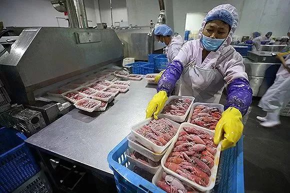 冷冻人口_冷冻食品图片