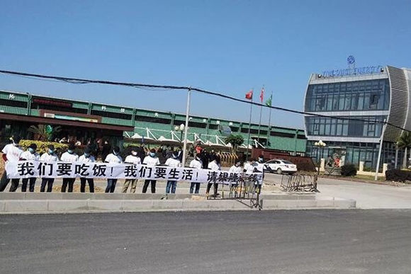 【博狗扑克】董明珠造车添坎坷 银隆南京产业园商用车项目遭查封 【博狗扑克】董明珠造车添坎坷 银隆南京产业园商用车项目遭查封