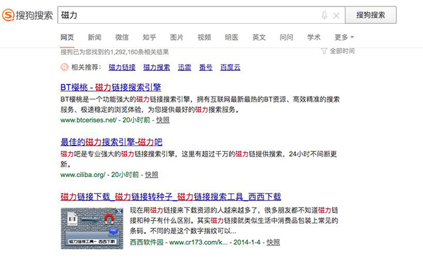 搜狗搜索引擎中输入“磁力”显示的搜索结果  本文图均为 看法新闻 图