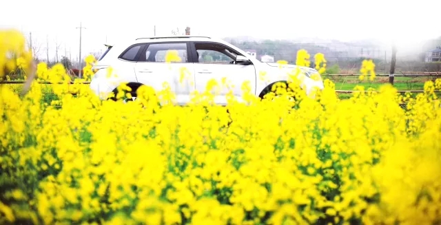 苏南永：在感恩中一路前行