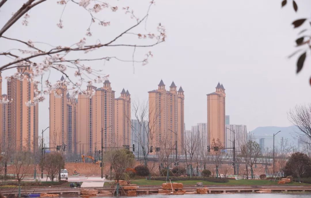 看樱花不用去鸡鸣寺，江北这片樱花林惊艳全南京！